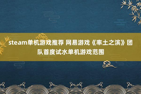 steam单机游戏推荐 网易游戏《率土之滨》团队首度试水单机游戏范围