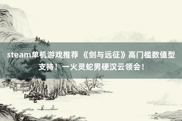 steam单机游戏推荐 《剑与远征》高门槛数值型支持！一火灵蛇男硬汉云领会！