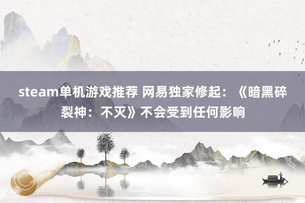 steam单机游戏推荐 网易独家修起：《暗黑碎裂神：不灭》不会受到任何影响