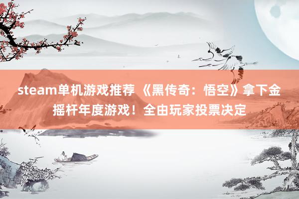 steam单机游戏推荐 《黑传奇：悟空》拿下金摇杆年度游戏！全由玩家投票决定