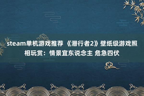 steam单机游戏推荐 《潜行者2》壁纸级游戏照相玩赏：情景宜东说念主 危急四伏