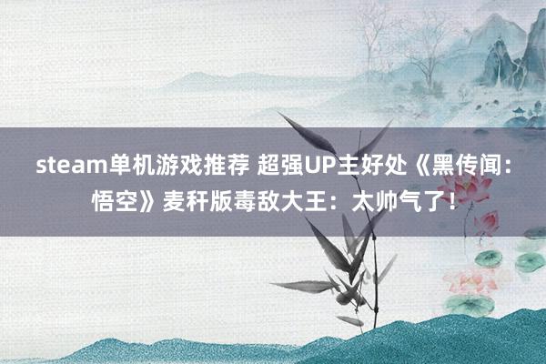 steam单机游戏推荐 超强UP主好处《黑传闻：悟空》麦秆版毒敌大王：太帅气了！